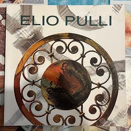 Libro ELIO PULLI