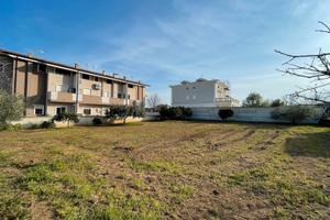 Terreno edificabile - Falciano del Massico (CE)