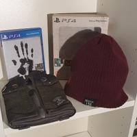 Infamous Second Son Edizione limitata Collectors