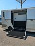 van-trasporto-2-cavalli-renault-master-180-dci