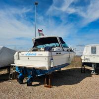 Sea ray 30 MOTORI NUOVI