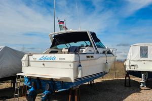 Sea ray 30 MOTORI NUOVI