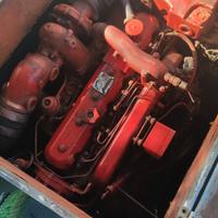 Barca da pesca con licenza