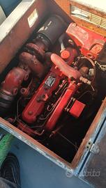 Barca da pesca con licenza