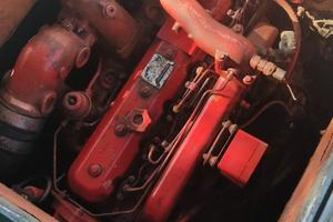 Barca da pesca con licenza