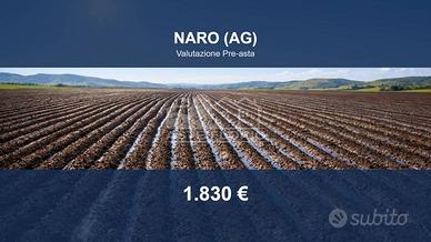 Immobile in asta di 4310 m² a Naro