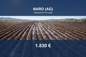 Immobile in asta di 4310 m² a Naro
