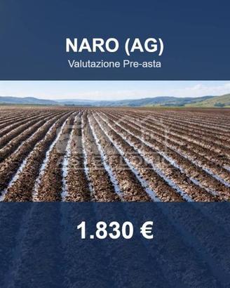 Immobile in asta di 4310 m² a Naro