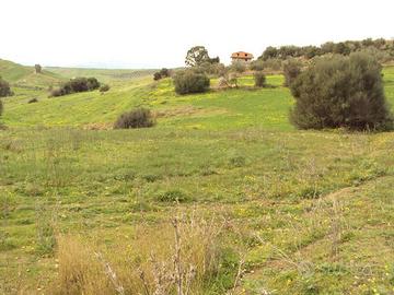terreno agricolo