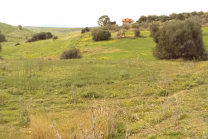 terreno agricolo