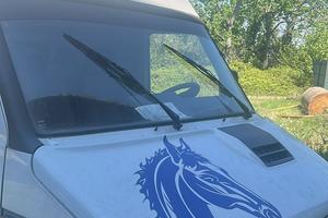 VAN TRASPORTO 2 CAVALLI PATENTE B