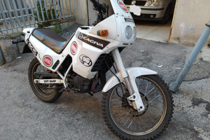 Cagiva Cocis 50 lucky explorer