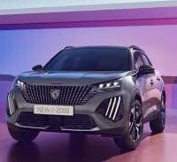 Musata completa e ricambi vari Peugeot 2008 2024