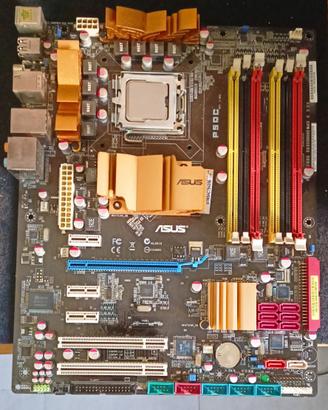 Scheda Madre Asus P5QC + Intel Core 2 E5500