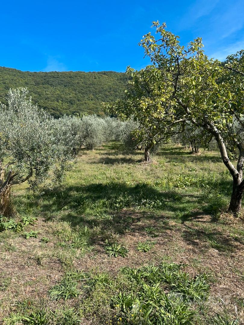 Terreno agricolo - Vista 4