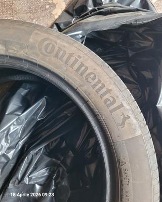 Gomme estive