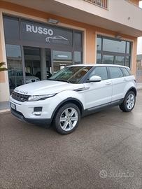 Land Rover Range Evoque 2.2 TD4 5p. Pure