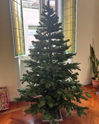 albero di natale