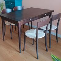 Tavolo 120 x 80 allungabile + 4 sedie
