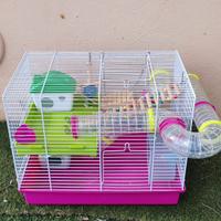 Gabbia per criceti completa di accessori e giochi!