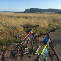 2 Biciclette + omag.  portabici  auto 200€  l’una