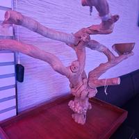 trespolo per pappagalli