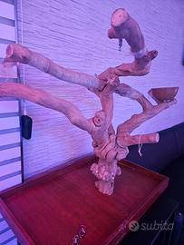 trespolo per pappagalli