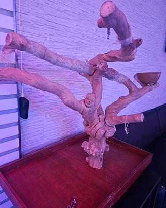 trespolo per pappagalli