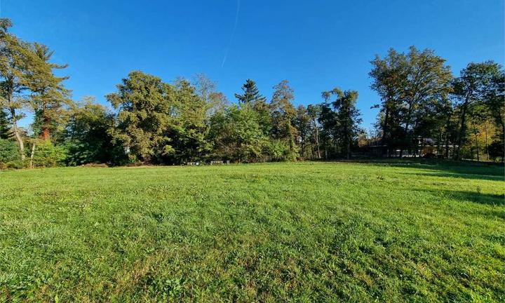 Terreno Edificabile a Besnate