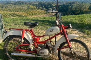 Motorino Sachs