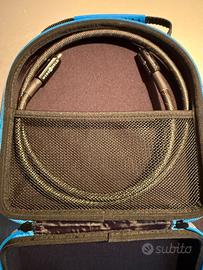 WIREWORLD Silver Starlight 10 Coassiale