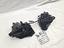 Immagine 7