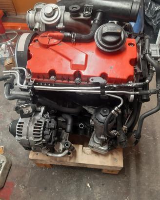 motore Volkswagen codice del motore bkc