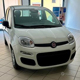 Pandina Hybrid da 9.950€