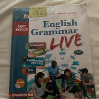 English grammar live
