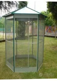 Voliera esagonale per uccelli