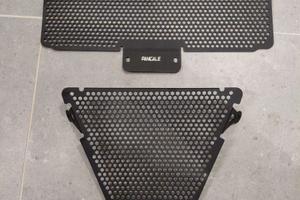 Protezioni Radiatore Ducati Panigale 899