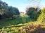 Immagine 8