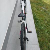 Biciclette mountain bike