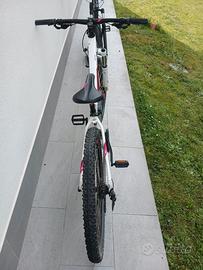 Biciclette mountain bike