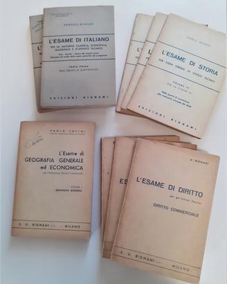 Libri bignami