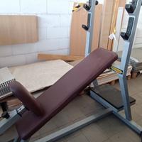 panca inclinata technogym