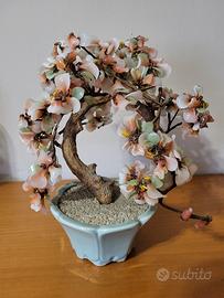 Bonsai in vetro