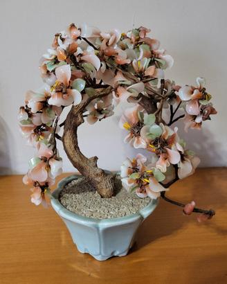 Bonsai in vetro
