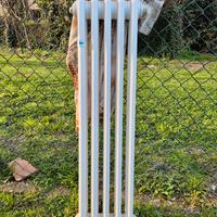 termosifone 