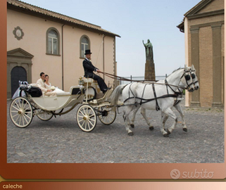 Carrozza caleche 8 molle