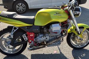 V11 Sport verde legnano