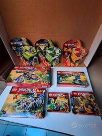 Lego riservato Domenico