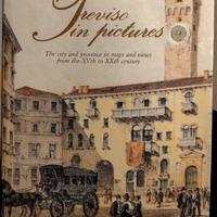 Treviso illustrata. La città e il territorio in pi