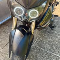 Z1000 black ediction